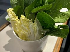 -百年果林椰子鸡(宝安总店)