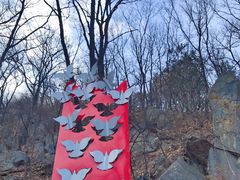 -阳台山自然风景区