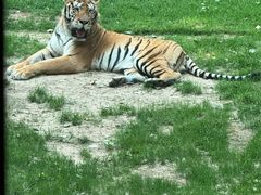 -北京野生动物园