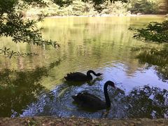 -水濂山森林公园