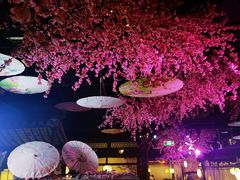 大堂-韵秋荷(宝山龙湖天街店)
