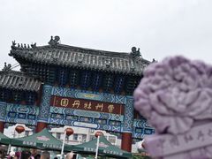 -曹州牡丹园