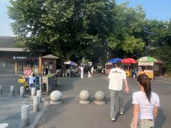 -东湖落雁景区