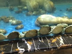 -上和臻品中国菜(花园街店)