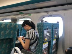 -文府路口(Taiwan High Speed Rail Zuoying Station)