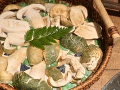 -蘑界·野生菌火锅(深业上城店)