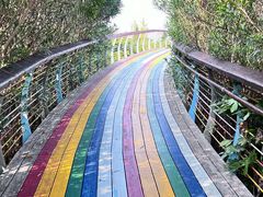 -西山漾湿地公园