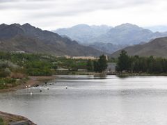 -新疆天山野生动物园