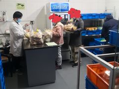 -来噻布布 Lets BUBU