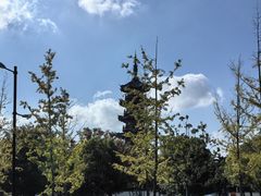 -龙华寺