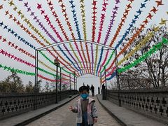 -大槐树寻根祭祖园