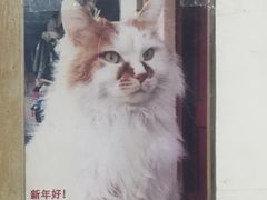 -中海环宇荟