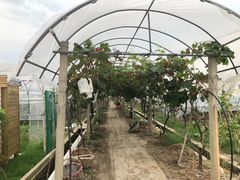 -美家乐农庄·露营·团建(大治路店)