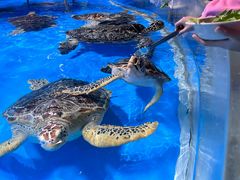 -泉城欧乐堡海洋极地世界