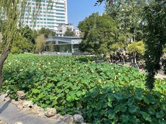 -莲湖公园