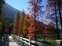 -广州市石门国家森林公园