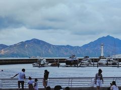 -蛇口市场