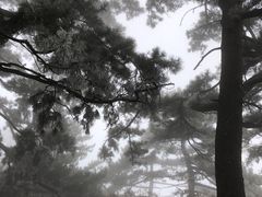 -终南山南五台景区