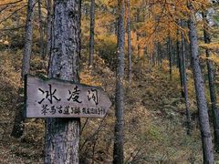 -苏木山森林公园