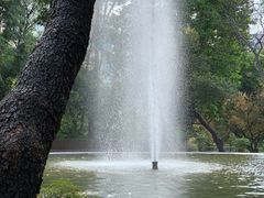 -九龙公园