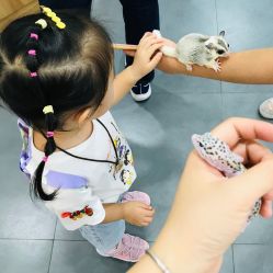 -Moni星球萌宠·小马宝莉·灵蛇·高端高阶全萌宠互动体验俱乐部(红豆国际广场店)