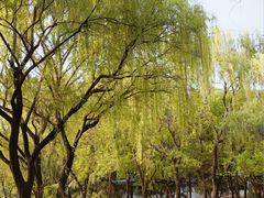 -唐城墙遗址公园