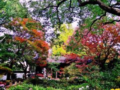 -上海醉白池公园