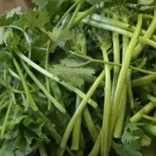 香菜-老四川火锅城(长青线店)