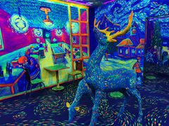 -天津梵高星空艺术馆(天河城旗舰店)