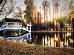 -上海共青森林公园