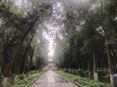-灵谷景区