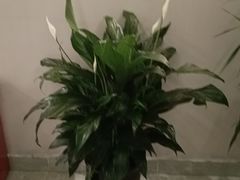 -怡心阁·水疗SPA(天府广场店)