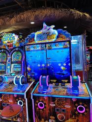 -卡通尼·Safari非洲探索乐园·生日会(金桥国际商业广场店)