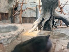 -武汉动物园