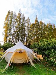 -前小桔亲子创意农场·草莓采摘·露营烧烤