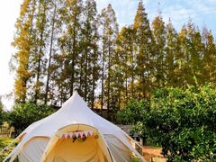 -前小桔亲子创意农场·草莓采摘·露营烧烤