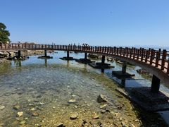 -养马岛旅游度假区