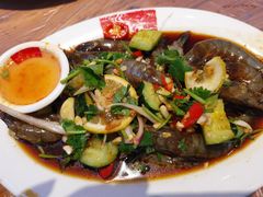 -皮蛋弟砂锅店(总店)