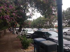 -南沙十九涌渔人码头-南门