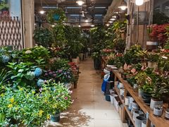 -双季花艺园艺市场(浦东店)