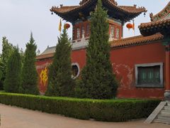 -大槐树寻根祭祖园