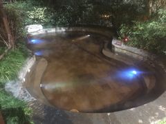 -杭州第一世界大酒店·云曼温泉
