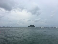 -珊瑚岛