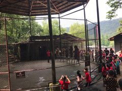-石燕湖生态旅游景区