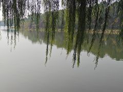-上海怡沁园度假酒店