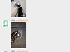 -美联众合动物医院·24h转诊中心
