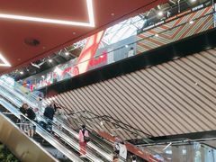 -谢列梅捷沃国际机场