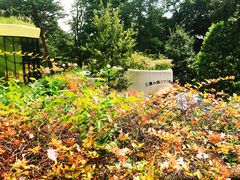 -三鹰之森吉卜力美术馆