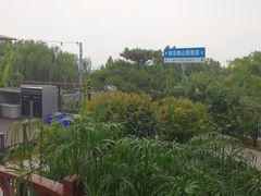 -蘇河湾·新鲁菜·泰山宴(泰山店)