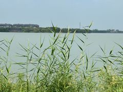 -伟记奥面馆(养育巷店)